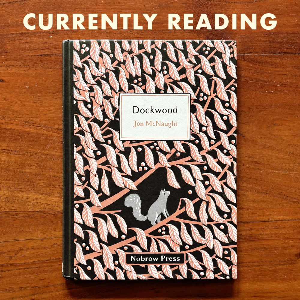 Cover of “Dockwood” by Jon McNaught