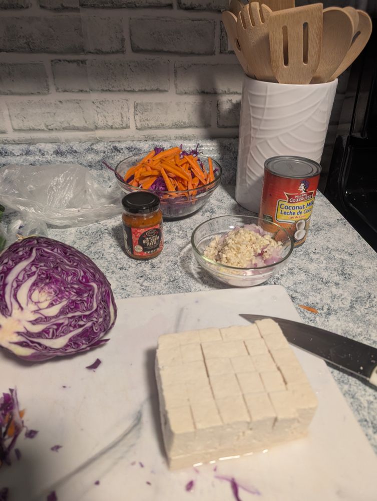Ingredients gathered and sitting on the counter while preparing dinner