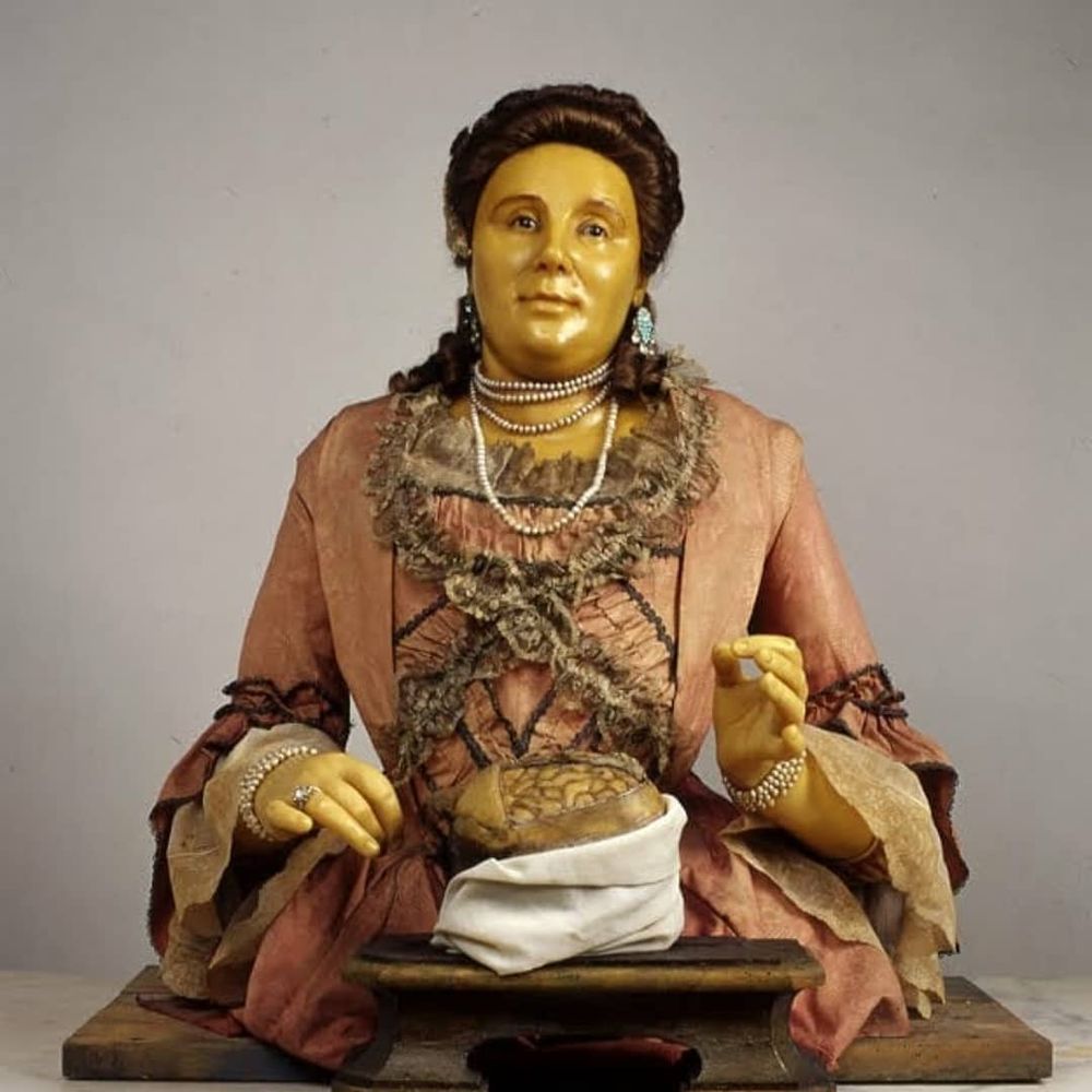 A wax self-portrait of a woman in a pink dress with lace, wearing pearls and jewels dissecting a human brain 