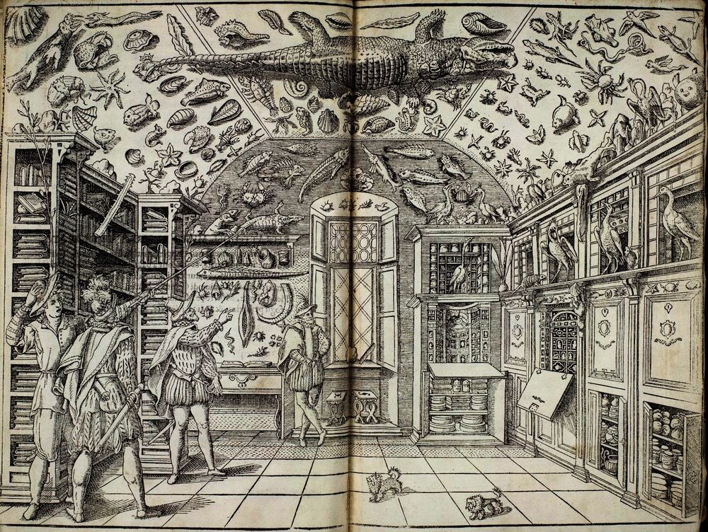 "This fold-out woodcut from the book Dell’Historia Naturale depicts a room full of collection of natural objects. There is an array of animals and botanical subjects shown in the room, all of which were collected by Imperato himself. On top of the image, there is a variety of aquatic animal species along with an array of shells. Many cabinets (right), brimming with books, most likely containing field notes of Imperato's examination of his biological discoveries, art historians assume these books include his biological discoveries because their titles refer to specific classes of species and there are reports of Imperato in the field with books and writing utensils.[1] The image is very exact in the representation of objects. Fine lines allow for intricate details to be seen. The focal point of this print is the window in the center which leads the eye to the alligator. On the lower right of this image, there are four men examining this cabinet of wonders. The expressions on their faces display amazement and curiosity, and their body language suggests interest in the room itself. This type of cabinet of curiosity was very characteristic of the empirical scientific movement. There were collections of wonder cabinets around Europe that displayed objects from the natural world in a similar way." -Wikipedia
