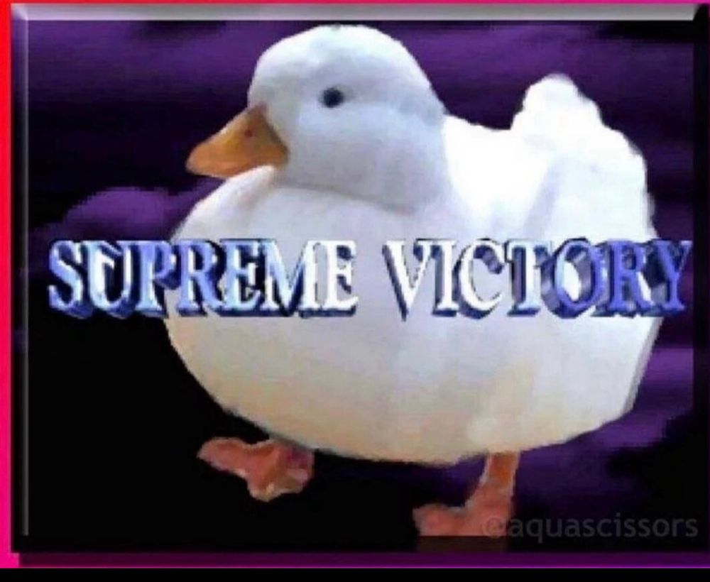 Comment image