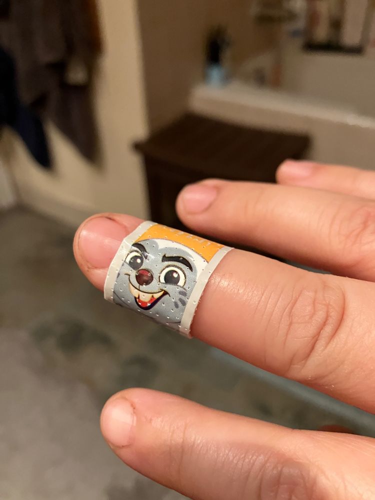 A photo of a hand with a bandaid featuring Bunga the honey badger from Disney’s The Lion Guard on the tip of the ring finger.