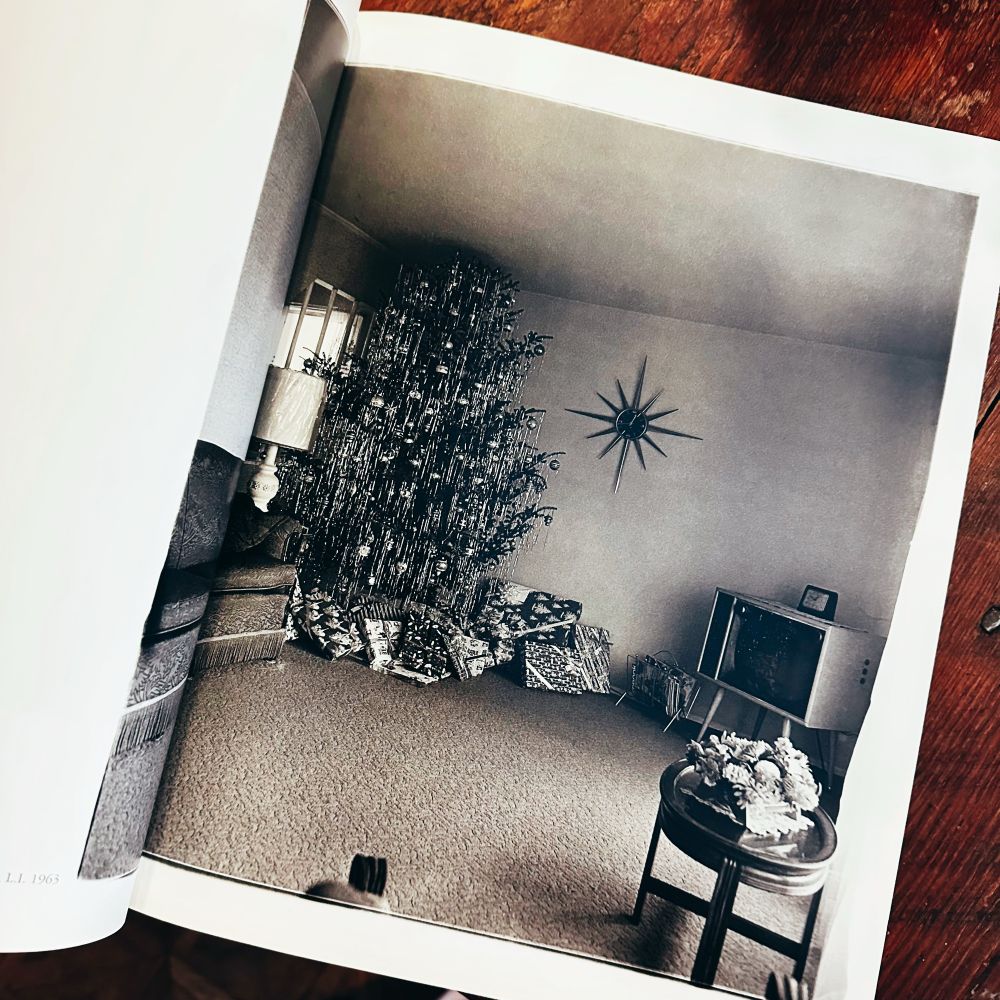 A photo I took of a Christmas scene from a Diane Arbus book.