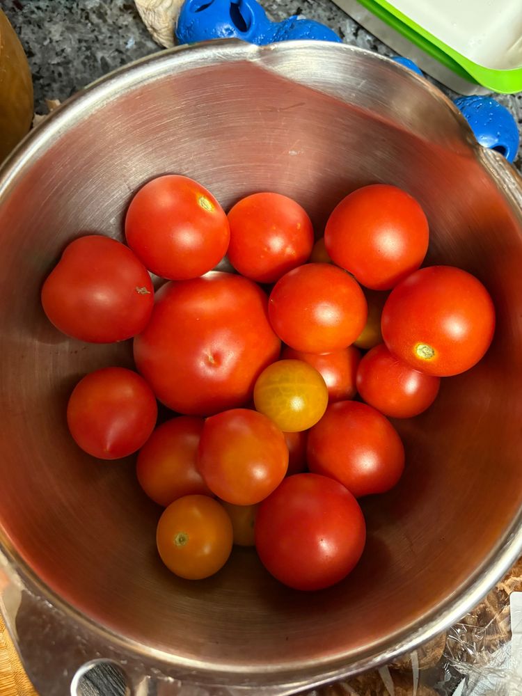 A large steel bowl filled with ripe red and yellow tomatoes.