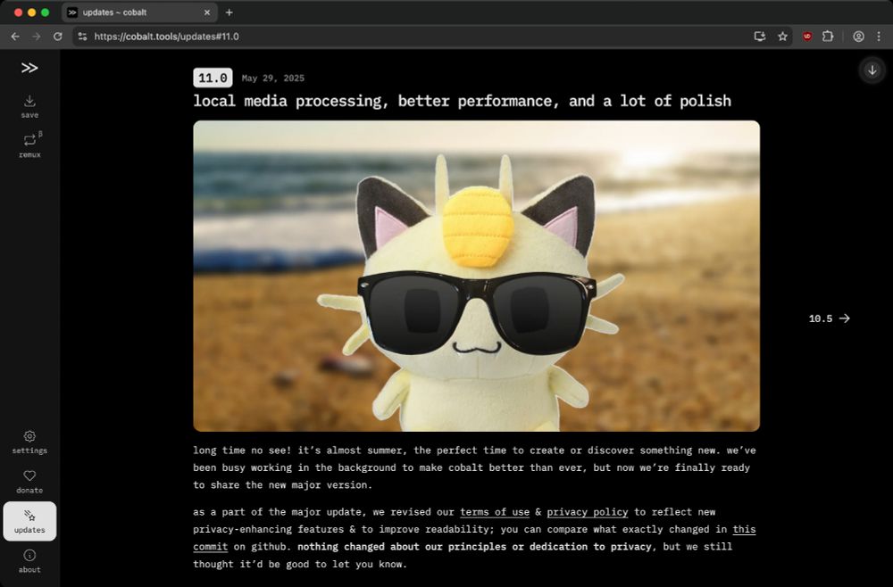 screenshot of the "updates" page with 11.0 changelog selected