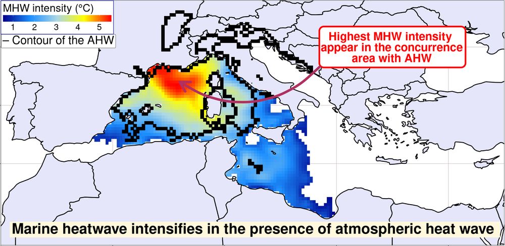 Mediterranean marine heatwaves intensify in the presence of concurrent atmospheric heatwaves