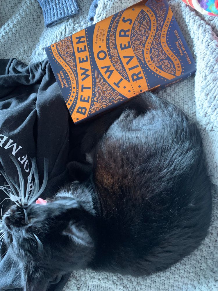 A copy of Moudhy Al-Rashid’s book Between Two Rivers, with a dark blue cover embellished with copper title and wavy patterns, next to a yawning semi-long haired black cat and a black hoodie with a Sisters of Mercy logo 
