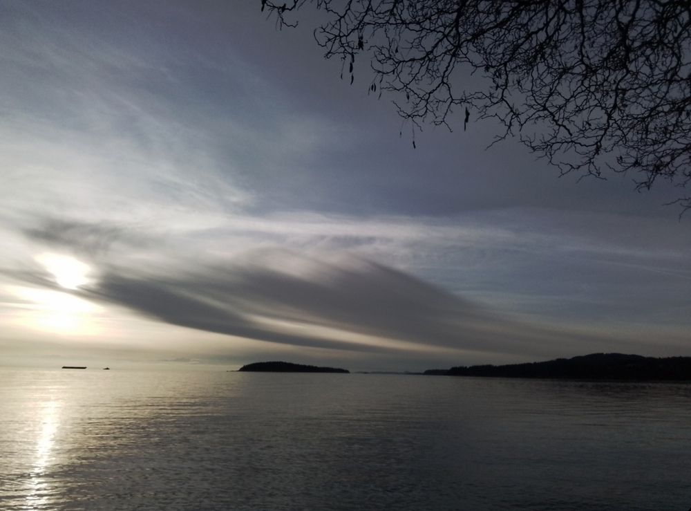 photo of a quiet ocean with small islands in the distance under a sky with sweeping feathery clouds. in the top right corner are bare branches of a tree. on the left is a streak of sun on the water and a small tugboat pulling an empty barge. 