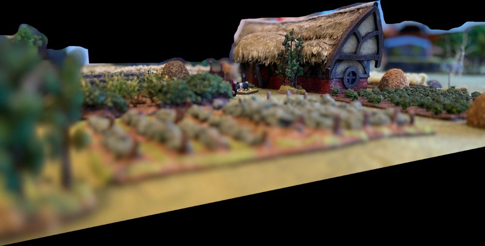 Picture of fantasy gaming terrain; a farm house and crops.