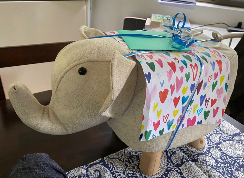 Toy elephant badly gift wrapped.