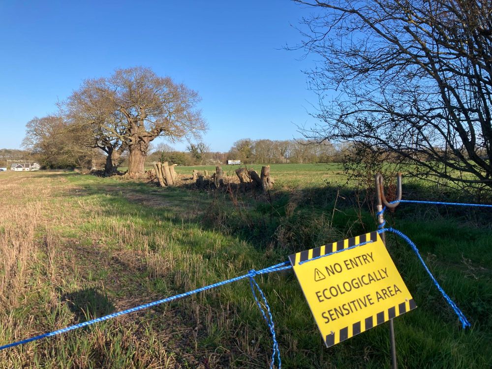 Countryside scene showing a line of tree stumps, with a sign in the foreground warning: "No Entry. Ecologically Sensitive Area"