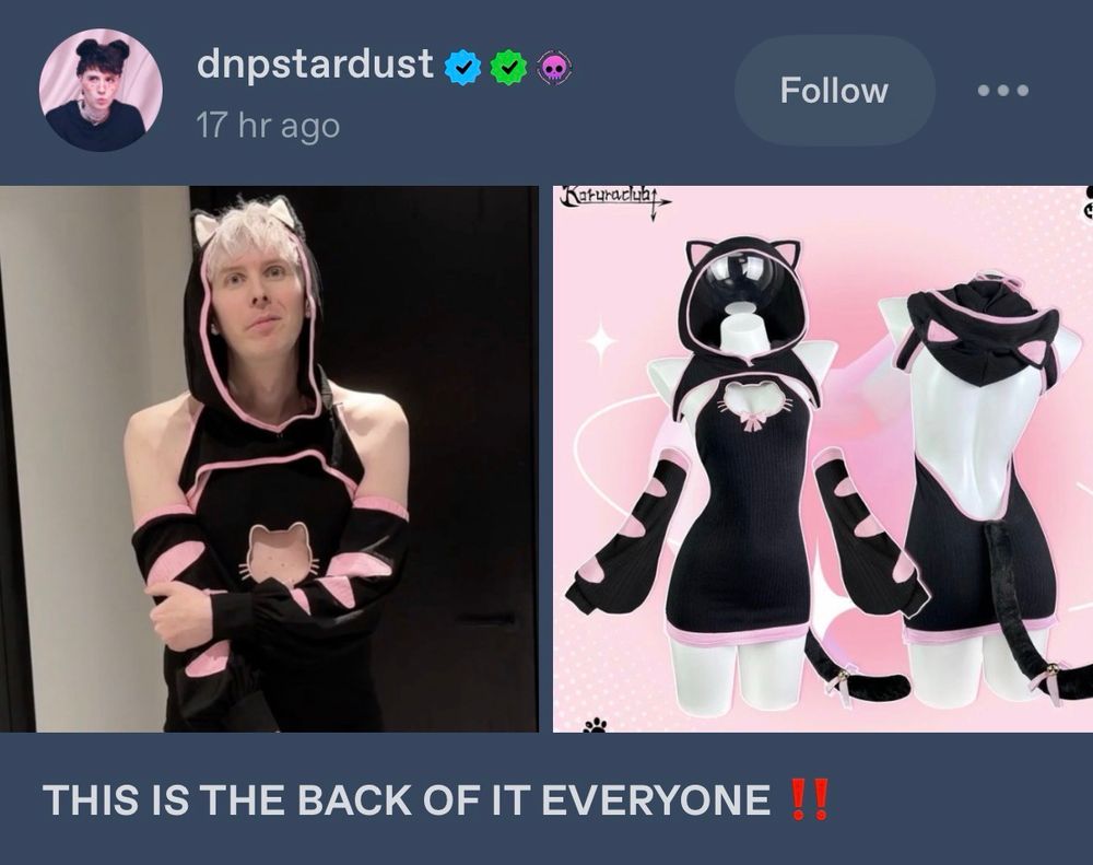 A tumblr post by user dnpstardust, showing a photo of Phil in the catgirl dress that was considered but rejected for the banana bread baking video, and a product photo of that dress, showing it has an open back. It's captioned: THIS IS THE BACK OF IT EVERYONE!!