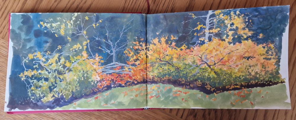 A double page spread of the sketchbook showing a watercolour of a fallen tree which is still growing leaves. The leaves are shades of red, orange, yellow and green. They are contrasted but a dark green and blue background. 