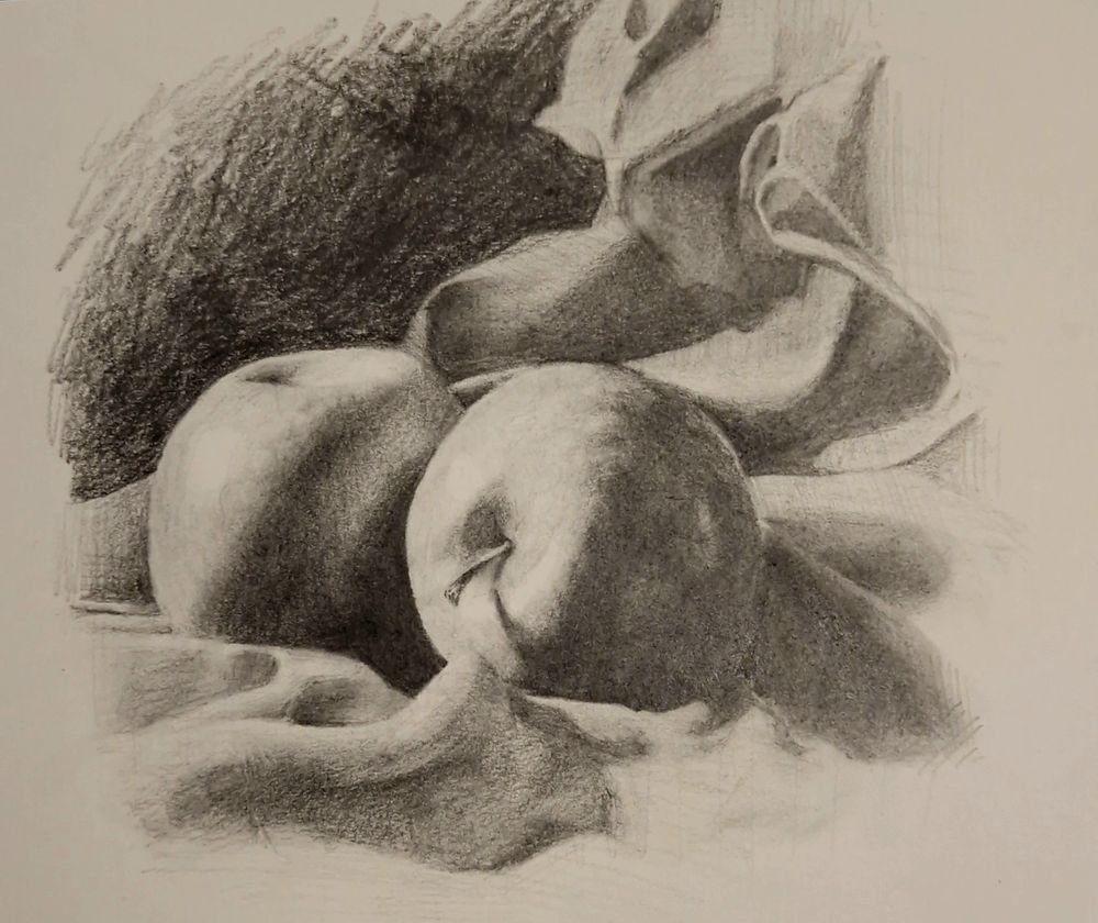 A graphite drawing of two apples on some drapped fabric. The light is coming from the top left. 
