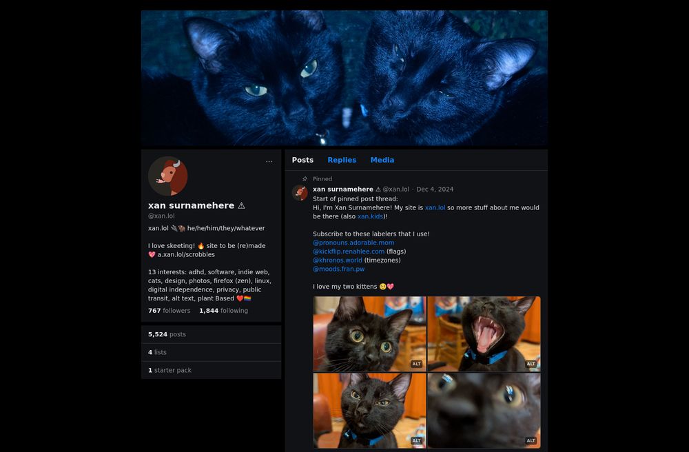 anartia showing my profile, where the banner and pinned post show my black cats