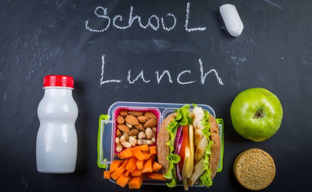 Healthy-School-Lunch-Ideas-to-Keep-Kids-Happy-and-Energized.jpg