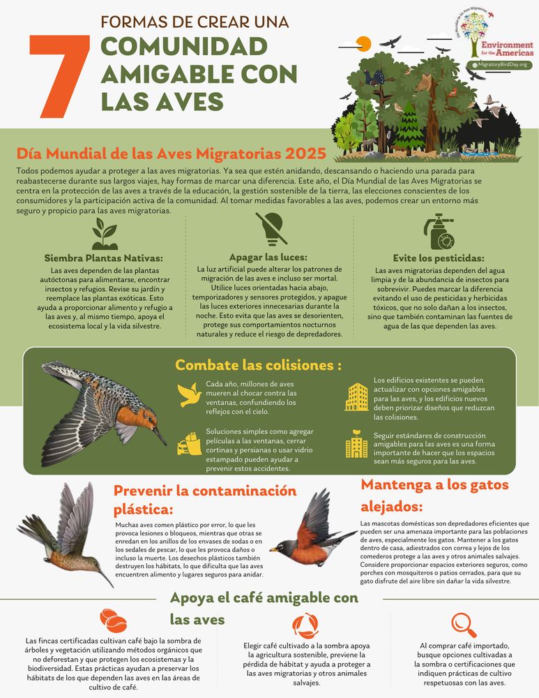 Infografía que detalla siete formas de crear una comunidad amigable con las aves, incluyendo plantar plantas nativas, apagar las luces, evitar pesticidas y prevenir colisiones.