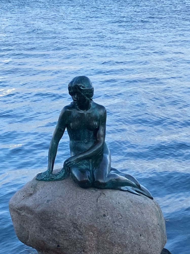 A photograph of the little mermaid statue in Copenhagen. The bronze statue is black and green against the blue water and sits on a  rock.