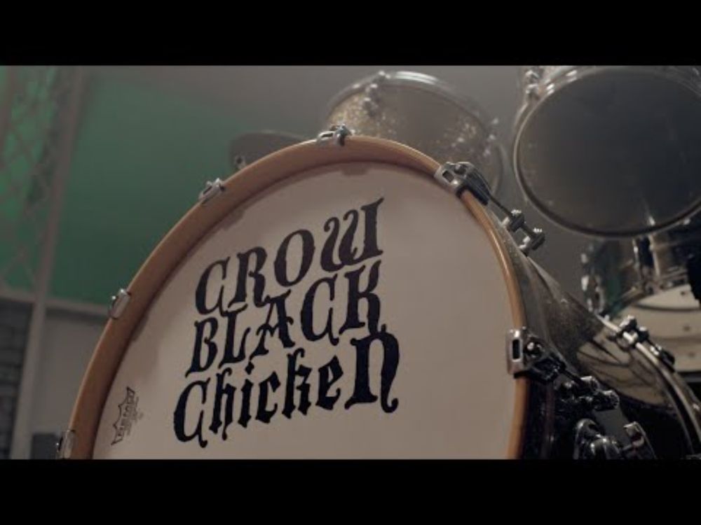 Crow Black Chicken - Bottom Feeders