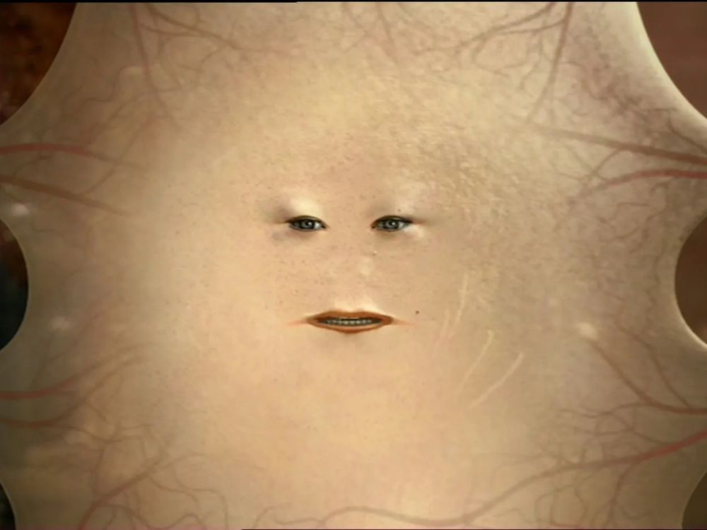 Eyes and mouth on a piece of stretched out skin. Scene from Doctor Who.