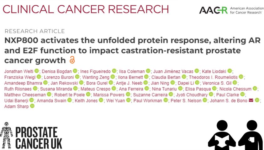 NXP800 activates the unfolded protein response, altering AR and E2F function to impact castration-resistant prostate cancer growth.
Welti et al. (2025) Clinical Cancer Research.