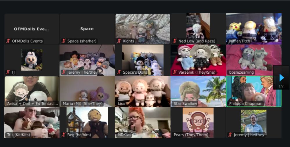 A screenshot of a Zoom meeting in gallery view. A variety of OFMD dolls are on the screens. 