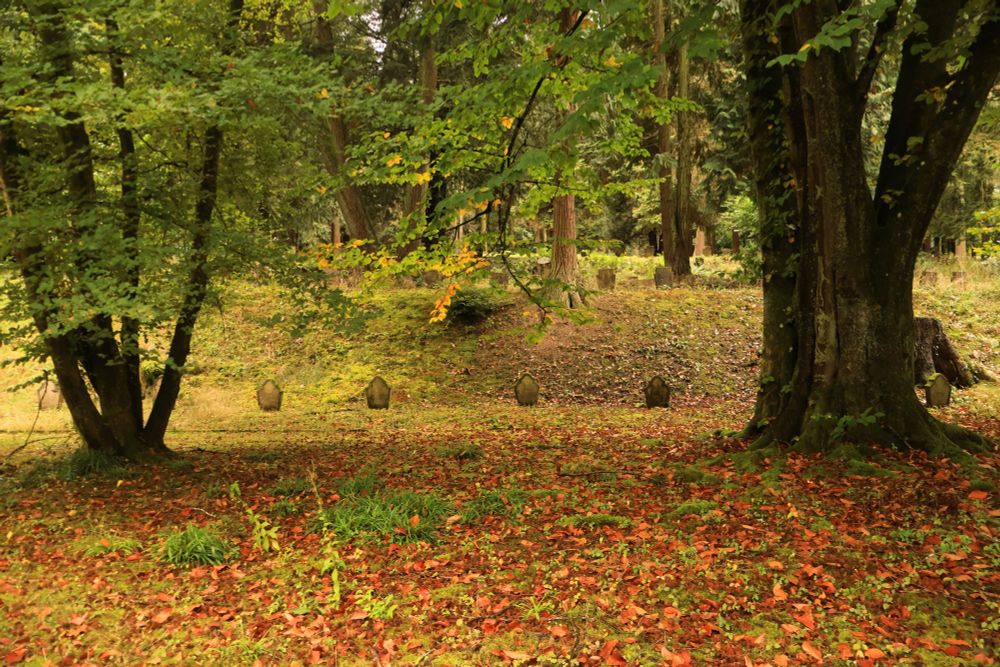 Woodland setting, a few well spaced graves from Great War period surrounded by golden fallen leaves