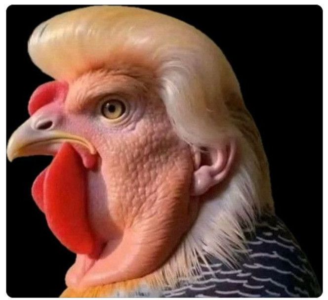 Comment image