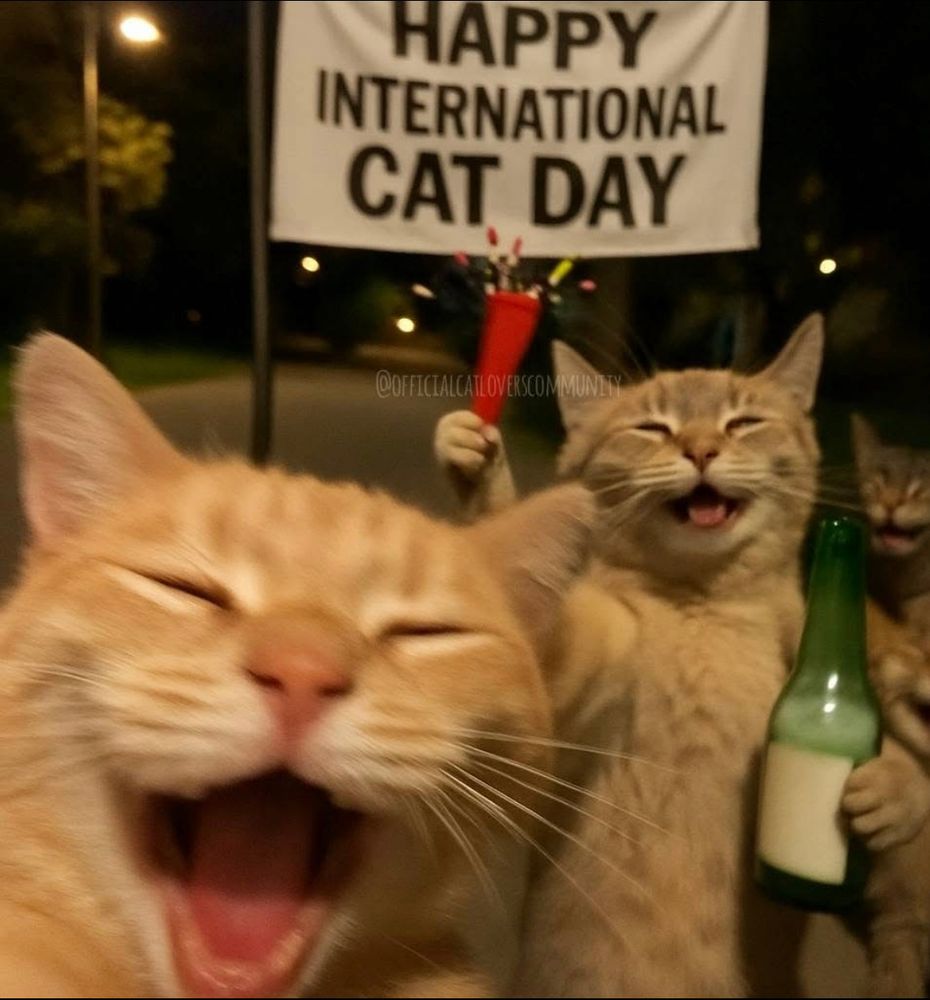 Party on! 