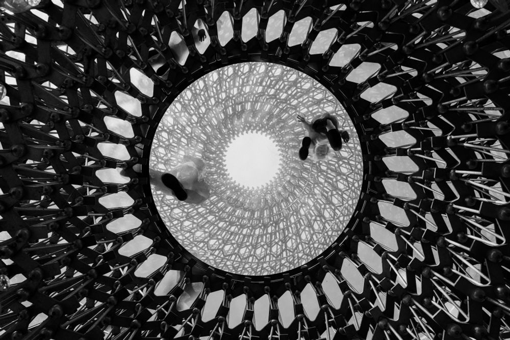 Black and white undershot of The Hive at Kew Gardens