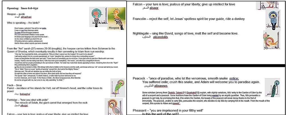 my notes from reading group with images of various birds
