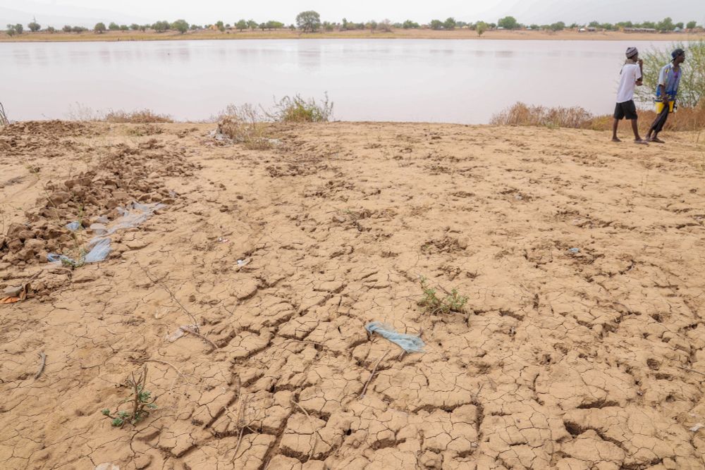 Photo © IRD - Ina Makosi, projet MOPGA