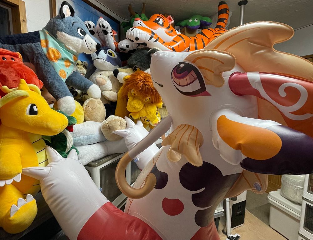 inflatable dragon kocol.