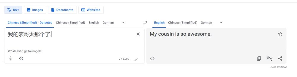 An automatic translation of 我的表哥太那个了, a nearly-untranslatable vernacularism that can mean almost anything (but almost always with a negative connotation). It translates the phrase, incorrectly, as "My cousin is so awesome."