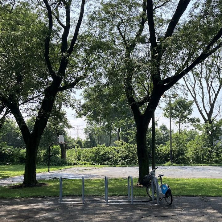 New bike corral with 5 racks in Golden Gate park with large oak trees and basketball court in the back