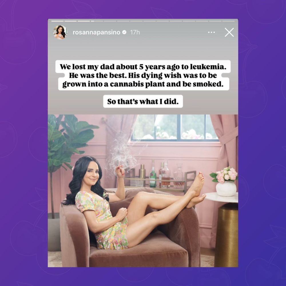 Screenshot of Rosanna Pansino’s Instagram story:

“We lost my dad about 5 years ago to leukemia.
He was the best. His dying wish was to be grown into a cannabis plant and be smoked. So that's what I did.”
