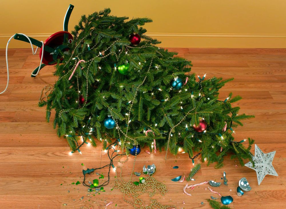 Picture of a knocked over christmas tree. 