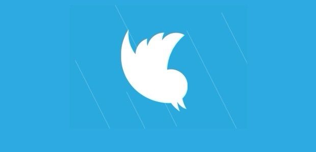 Image of the Twitter bird falling at a presumably fast speed.