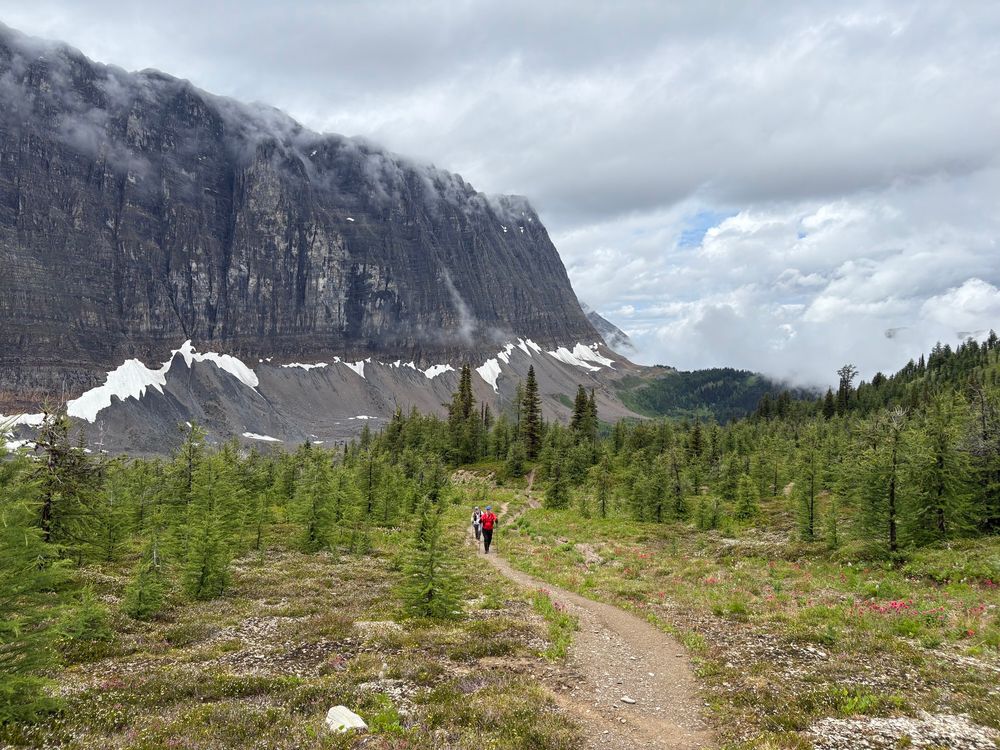 Runners on curved trail beside Rockwall in the Canadian Rockies