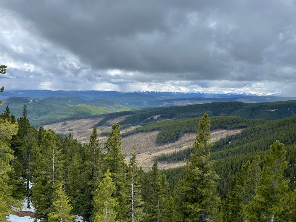 View to the prairies from a mountain top 