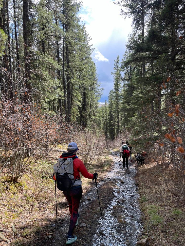 Wet hiking trail