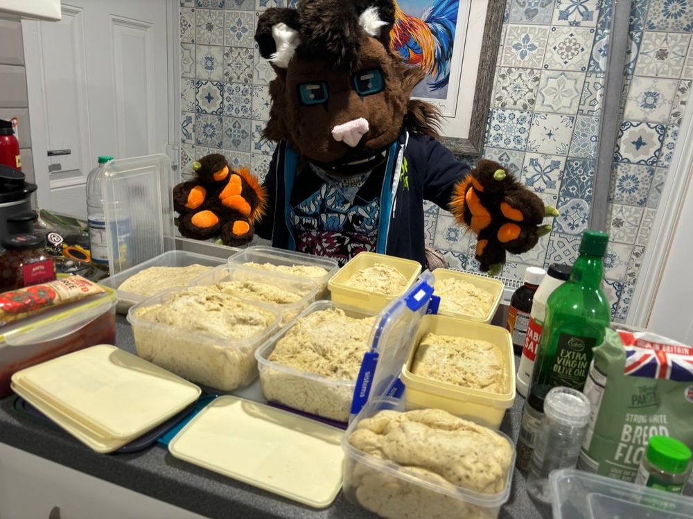 Different angle of the previous image.