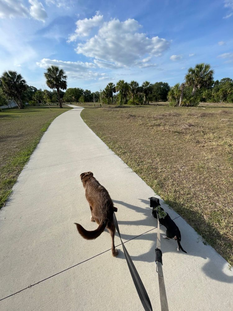 Sadie and Nina walking at the park