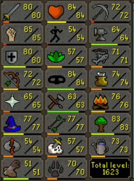 Attack 80, HP 84, Mining 72, Strength 85, Agility 54, Smithing 64, Defense 80, Herblore 57, Fishing 71, Ranged 72, Thieving 84, Cooking 74, Prayer 65, Crafting 63, Firemaking 76, Magic 77, Fletching 77, Woodcutting 83, Runecraft 54, Slayer 57, Farming 73, construction 51, hunter 70. Total level 1623