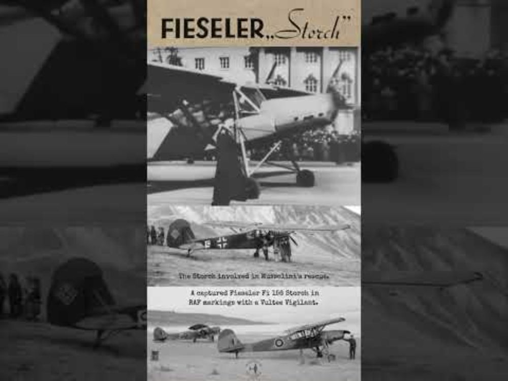 Fieseler Storch