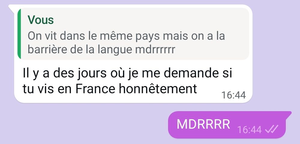 Moi : 
- on vit dans le même pays mais on a la barrière de la langue 
Ma pote :
- Il y a des jours où je me demande si tu vis en France honnêtement 
Moi : 
- MDRRRR (je rigole)