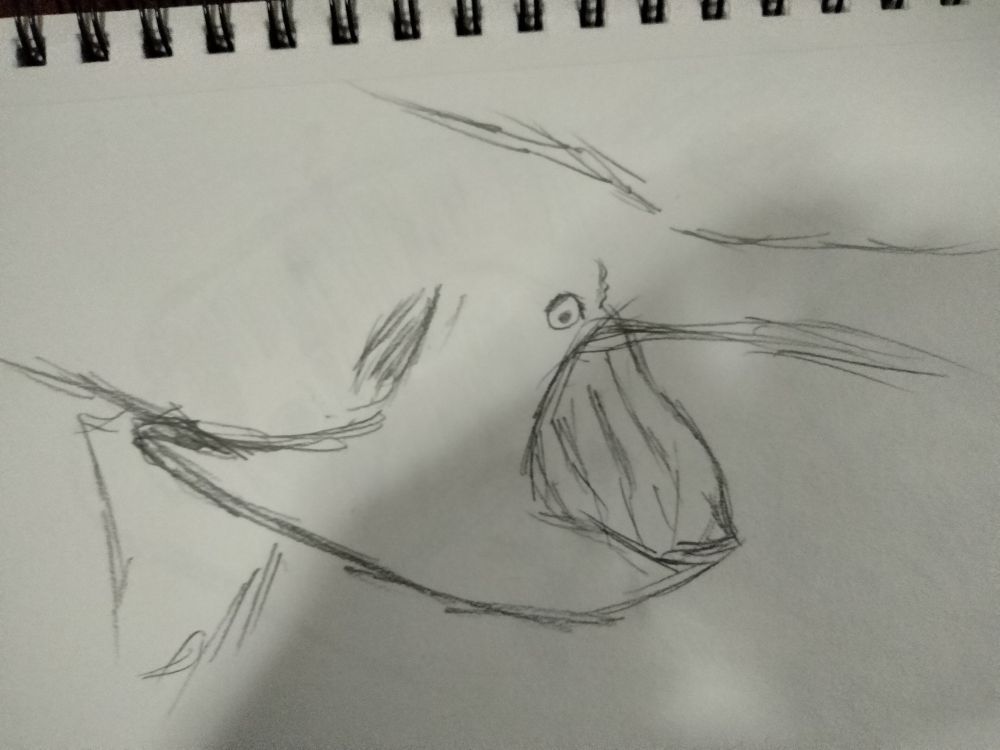this is a paddlefish its mouth is wide open and it looks like it's screaming big i drew it pretty badly because they went by really quick but i tried my best