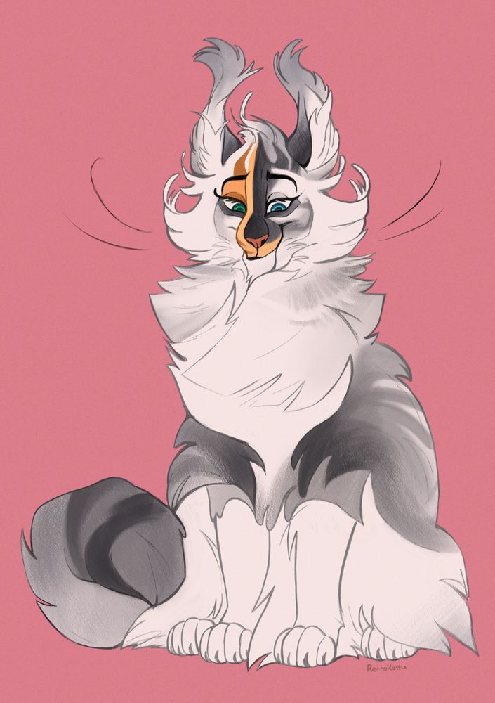 A very fluffy grey/white cat with some orange color on their face and fluffy ear tufts.