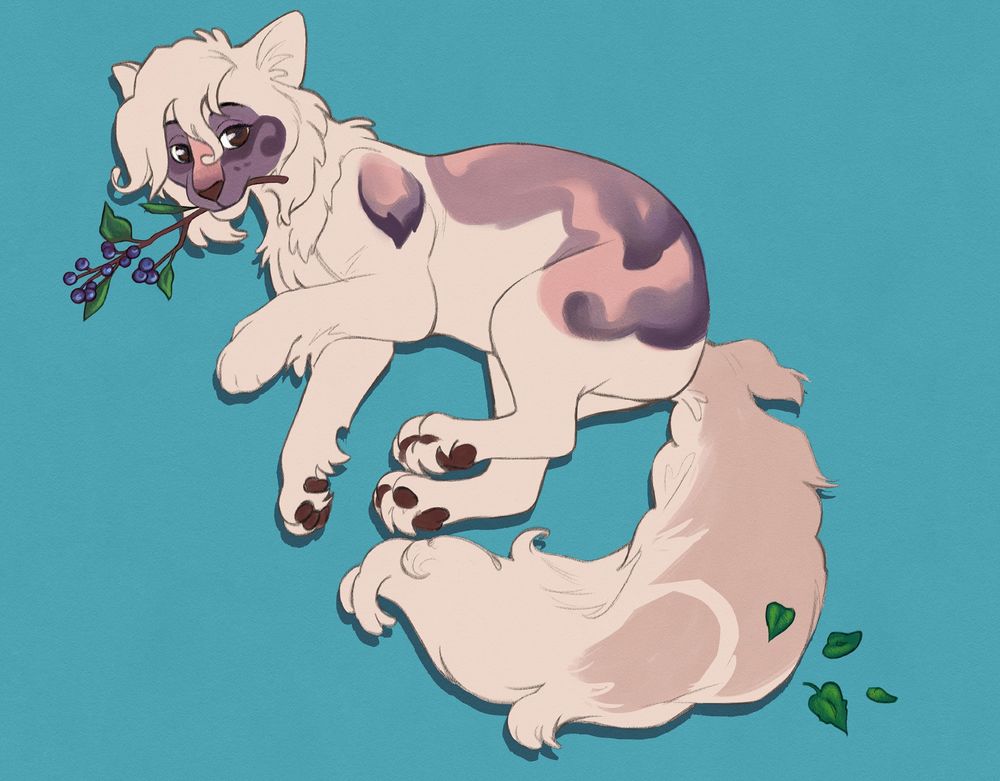 A white cat with some pink and lilac markings on them and a blueberry branch in their mouth.