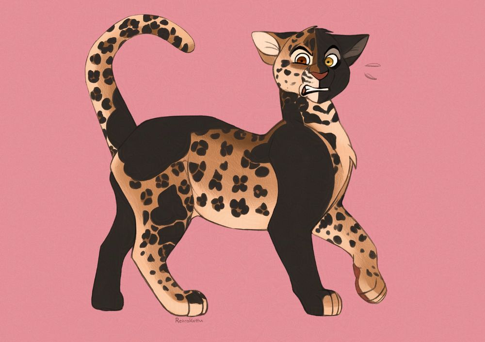 A cat with leopard spots, half his face black and two black legs.